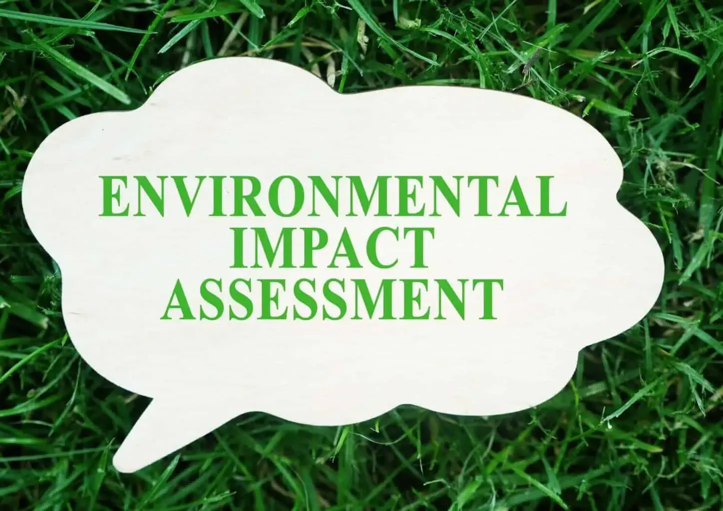 Environmental Impact Assessment sign on grass background